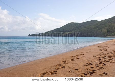 Beach of Grande Anse, Deshaies, Guadeloupe
