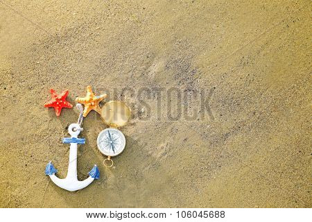 Beautiful sea composition on sand beach background