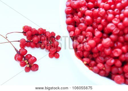 full plate of red ripe schisandra isolated