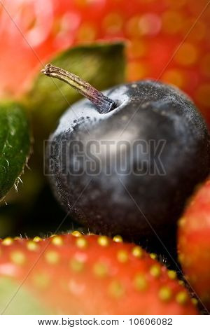 Mirtillo su fragole