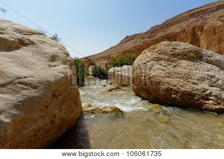 Wadi bin Hammad creek in desert in Jordan