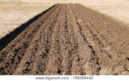 Farming Field.