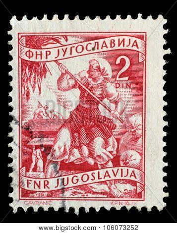 YUGOSLAVIA - CIRCA 1952: A stamp printed in Yugoslavia shows woman to harvest sunflowers, domestic economy series, circa 1952