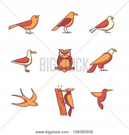 Birds icons thin line set