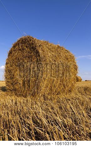 haystacks straw  . summer