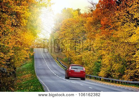 Car on the road in the fores
