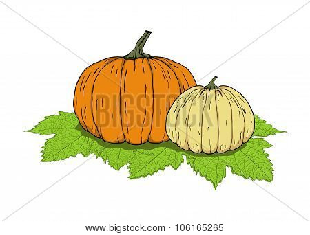 Two pumpkin