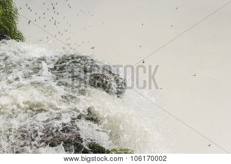 Devil Throat Iguazu Falls At Argentinian Border