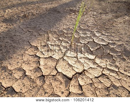 Soil Cracks Desert Sands Water Evaporation And Global Warming