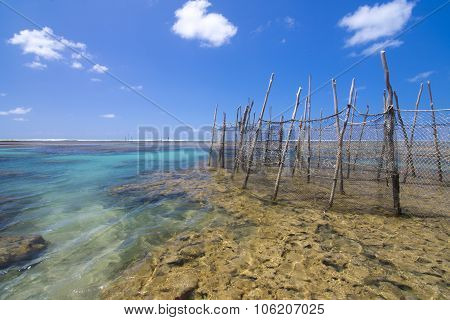 Fish Traps On Brazilian Reef