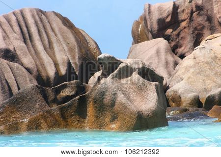 Amazing And Beautiful Rock On The Beach, Seychelles