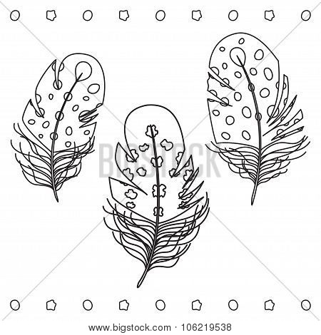 Feather Hand Drawn Set