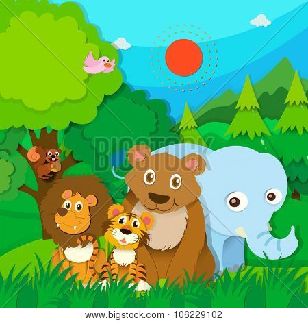 Wild animals in the forest illustration