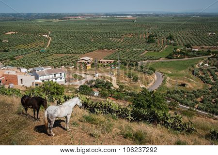 Banios De Encina, Andalusia, Spain
