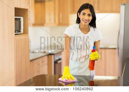 attractive indian housewife cleaning the kitchen