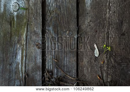 Old, Grunge Wood Panels Used As Background