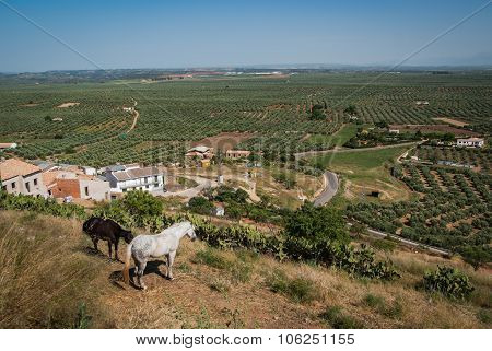 Banios De Encina, Andalusia, Spain