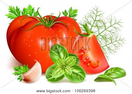 Red ripe tomatoes with herbs and garlic. Vector illustration