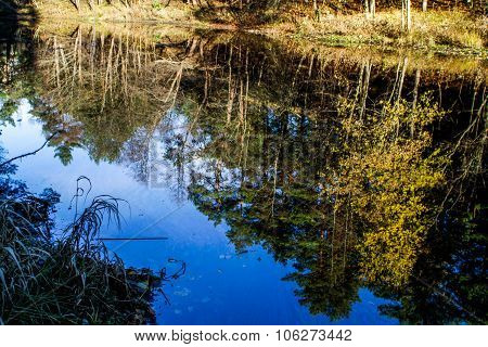Reflection