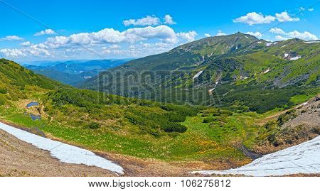 Summer Mountain View