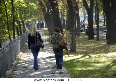 Cosiness ของเขา Vladimirskay