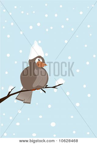 Sogni d'inverno