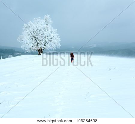 Winter Inclement Snowy Landscape