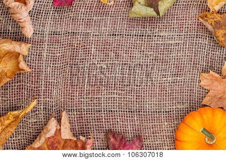Pumpkins And Autumn Leaves
