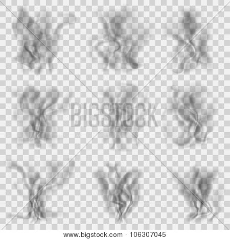 Set Of Translucent Gray Smoke. Transparency Only In Vector Format