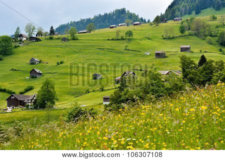 Green Mountain Side Near Alt St Johan, Switzerland