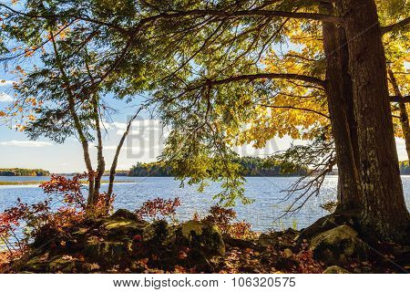 Shore Of Kejimkujik Lake In Fall From Jeremy Bay Campground