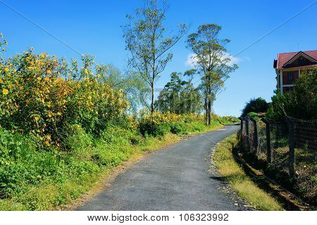 Dalat Countryside, Da Quy Flower