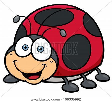 Lady Bug
