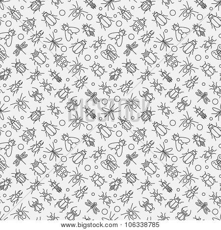 Insects linear pattern