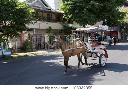 Horse Drawn Carriage In The Streets Of Manado