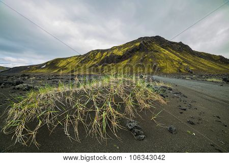 Landmannalaugar colorful mountains landscape view Iceland with green grass
