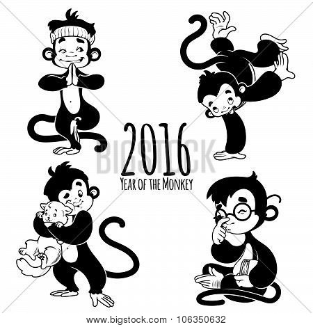 Symbol Of 2016 - A Monkey