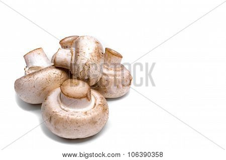 Fresh Champignon Mushrooms Isolated On A White Background