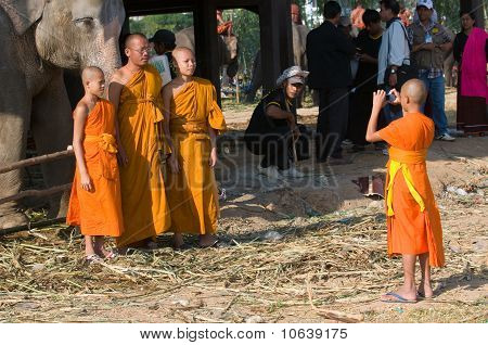 die jährlichen Elefant-Roundup in Surin, thailand