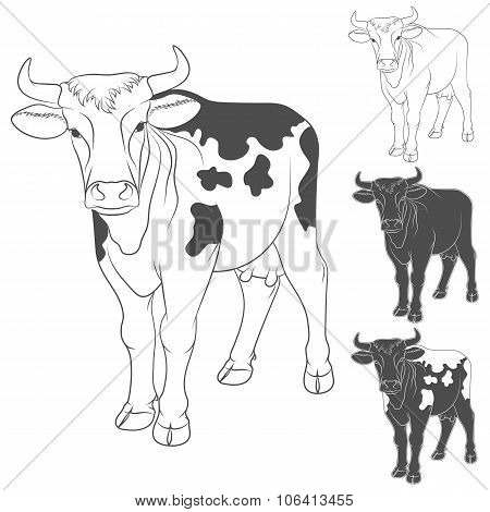 Vector black and white cow. Isolated objects