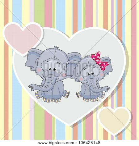Two Elephants