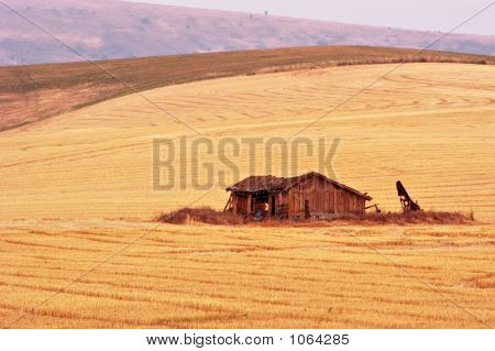 Palouse Country 2