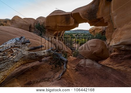 Devils Garden At Sunset