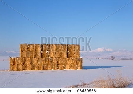 Golden Hay Stacked In A Field With Snow Capped Mountains In The Background