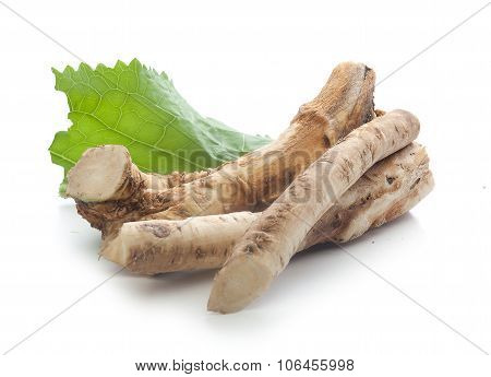 Horseradish