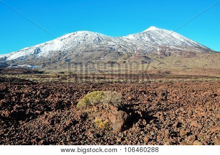 Desert Landscape in Volcan Teide National Park