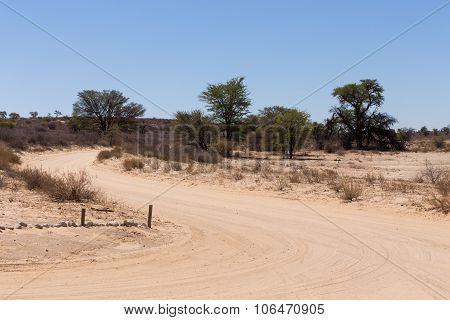 Road In Kgalagadi Transfontier Park