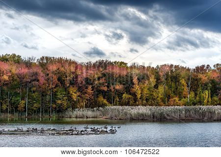 Autumn On A Chesapeake Bay Lake