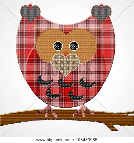 colored  owl