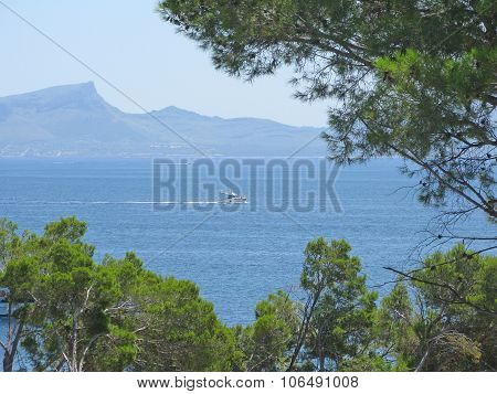 Mallorca seaside landscape framed by pine trees